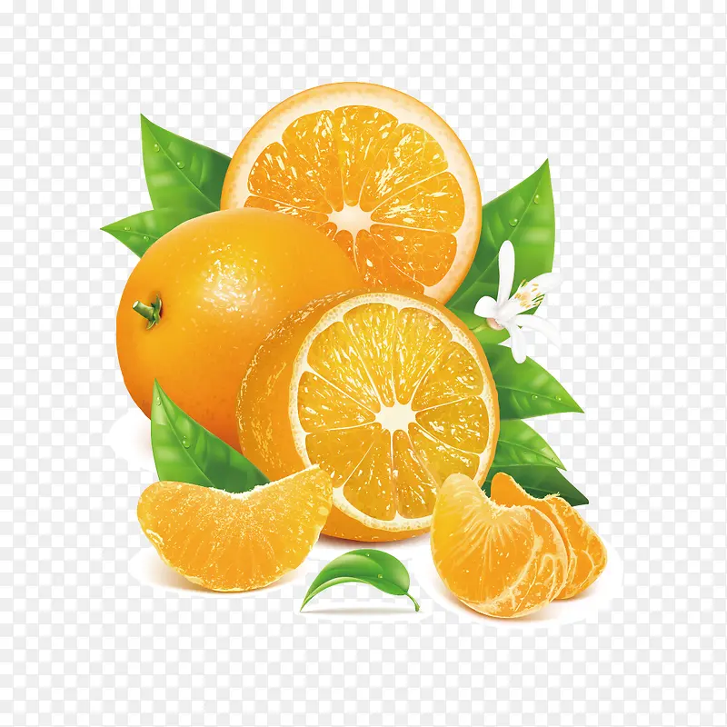 矢量橘子图案