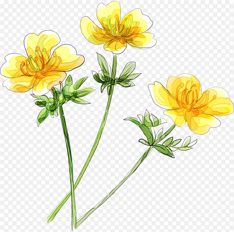 手绘黄色唯美小花植物