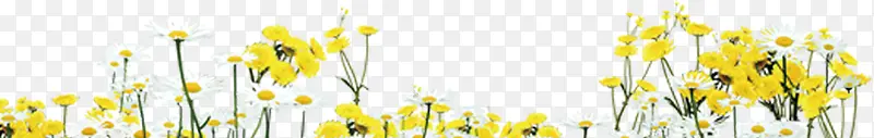 黄色春季小花装饰