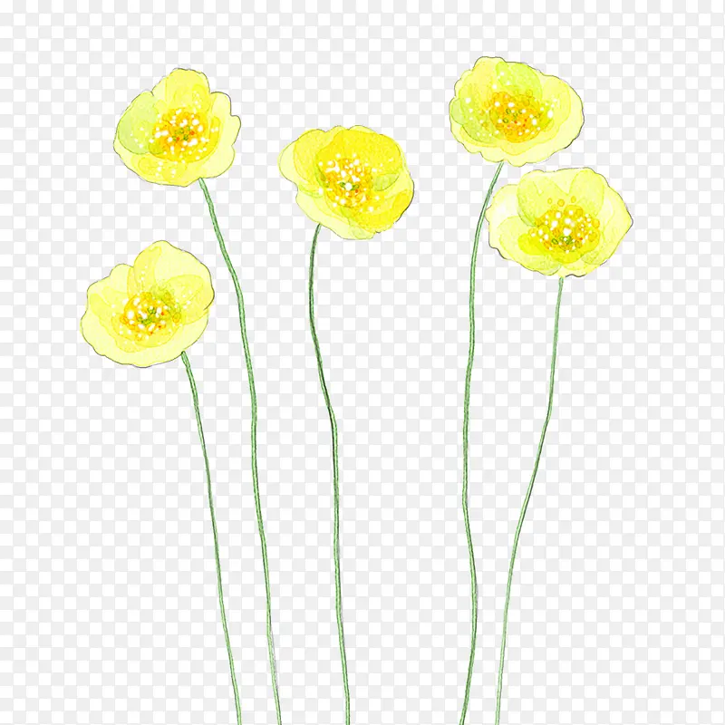 黄色手绘小花