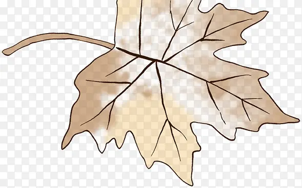 棕色手绘干枯树叶装饰