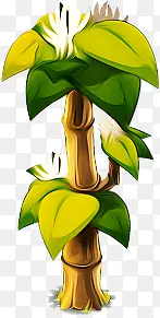 芭蕉树