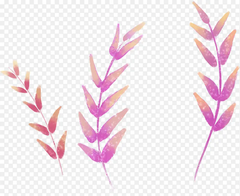 紫色树叶手绘植物