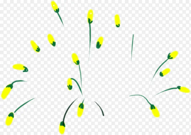 手绘黄色小花植物装饰