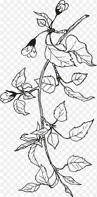 黑色手绘花朵树叶设计