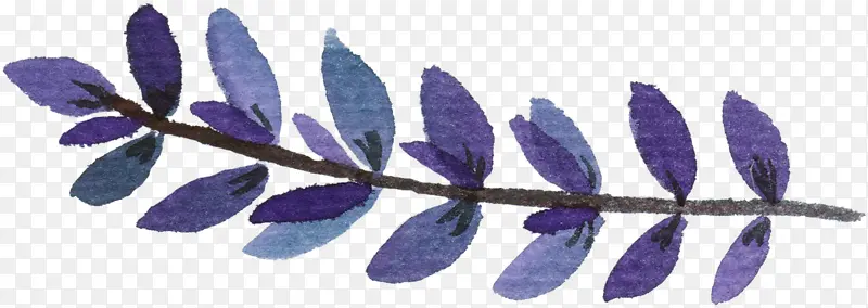 手绘紫色树叶水墨