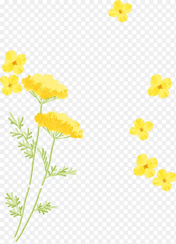 手绘黄色水彩小花装饰