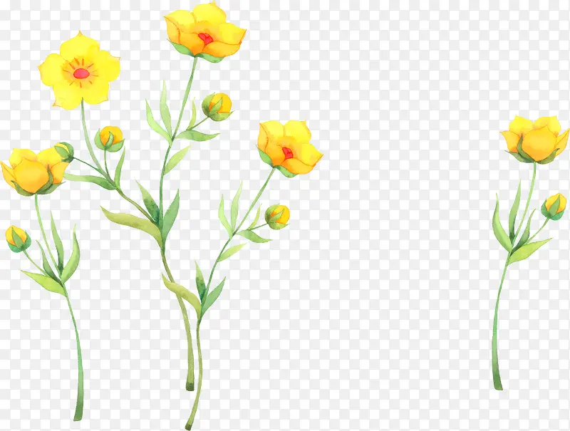 手绘黄色小花植物生命力