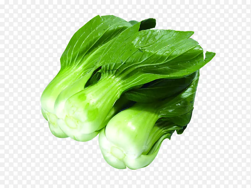 绿色蔬菜油菜