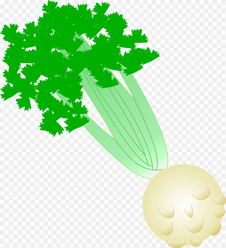 绿色的芹菜