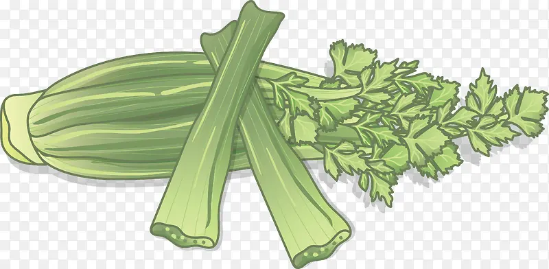 健康蔬菜卡通绿色芹菜