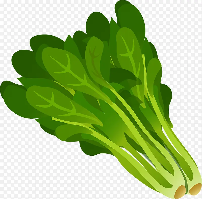 绿色的蔬菜