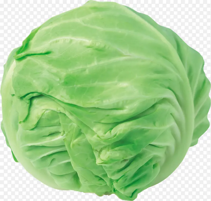 绿色包菜