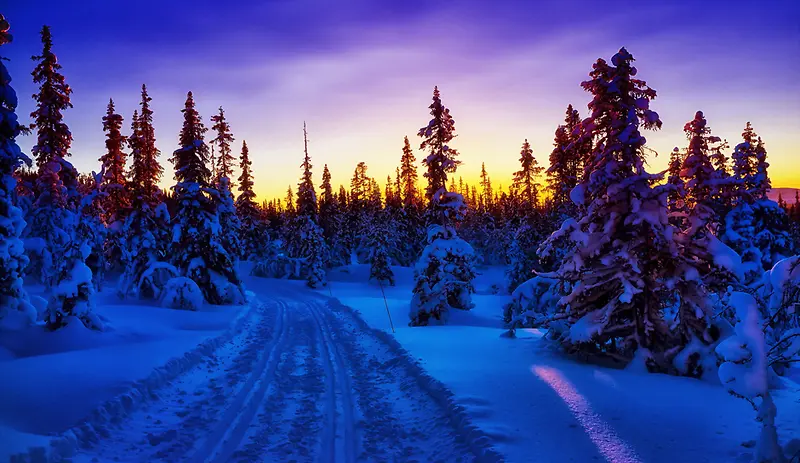 冬日美景蓝色唯美