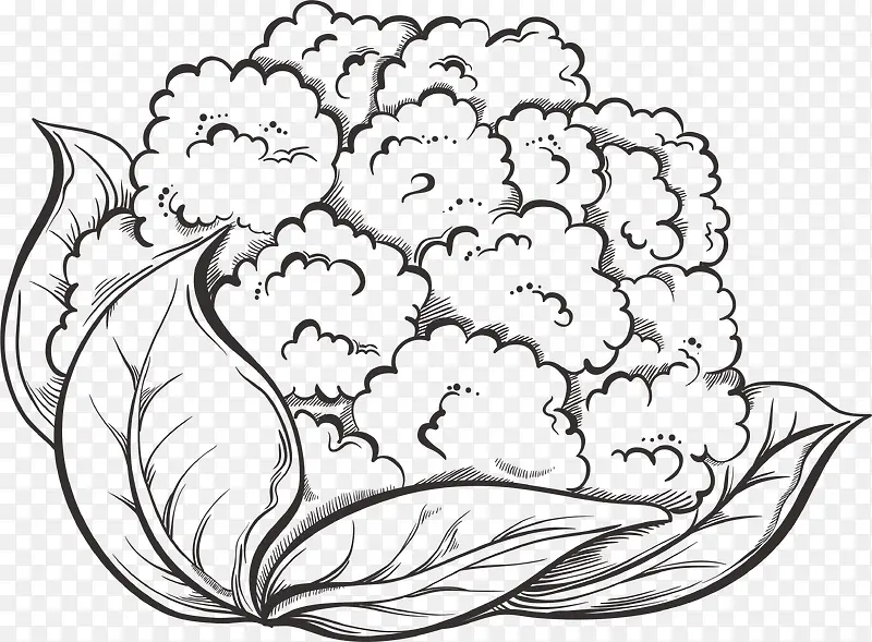 手绘花菜
