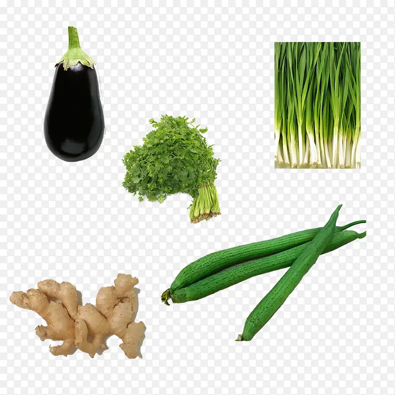 蔬菜实物图