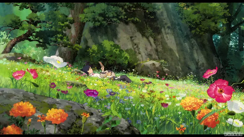 唯美草地原野花朵