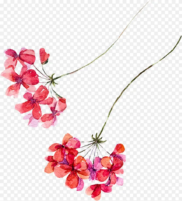 情人节海报植物卡通花朵