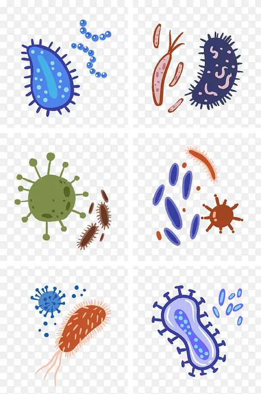 各种细菌细胞