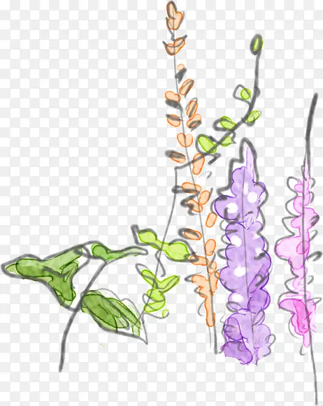 彩色手绘植物花朵