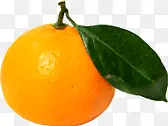 黄色水果橘子效果