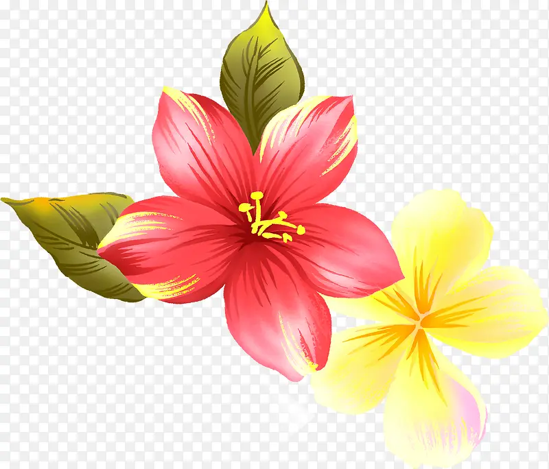 手绘彩色花朵植物花卉