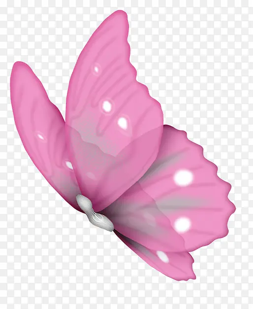 粉红蝴蝶