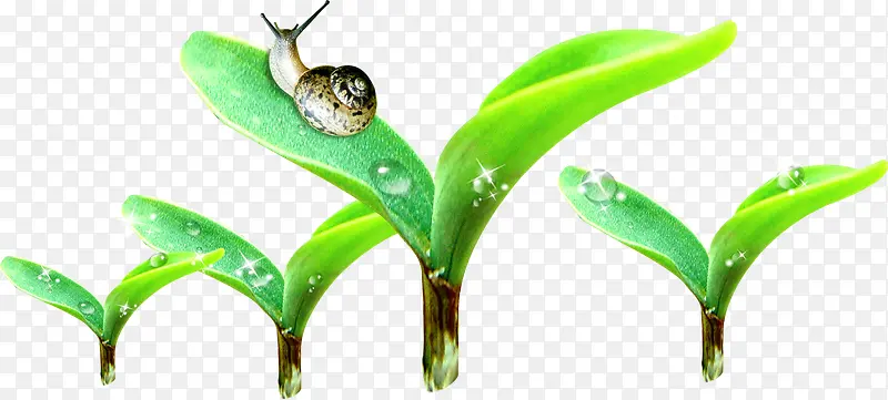 绿色卡通嫩绿发芽植物蜗牛