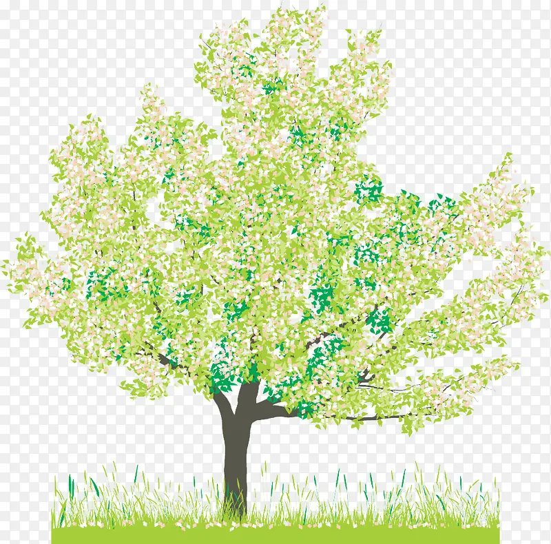 免抠透明嫩绿色的大树