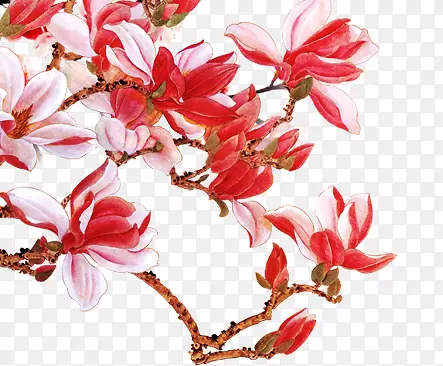 中秋节红粉色花朵包装