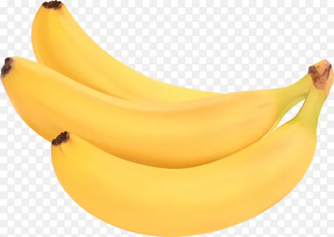 新鲜的三支香蕉