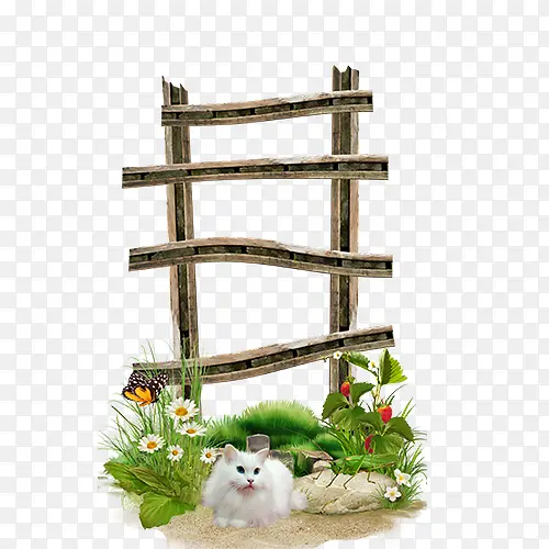 梯子栅栏猫春天