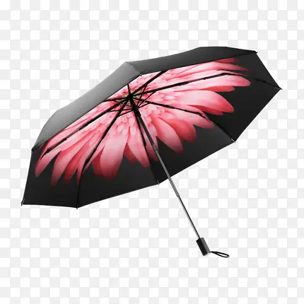 雨伞透明图片