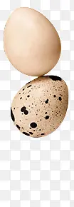 鸟蛋鸡蛋两只鸡蛋