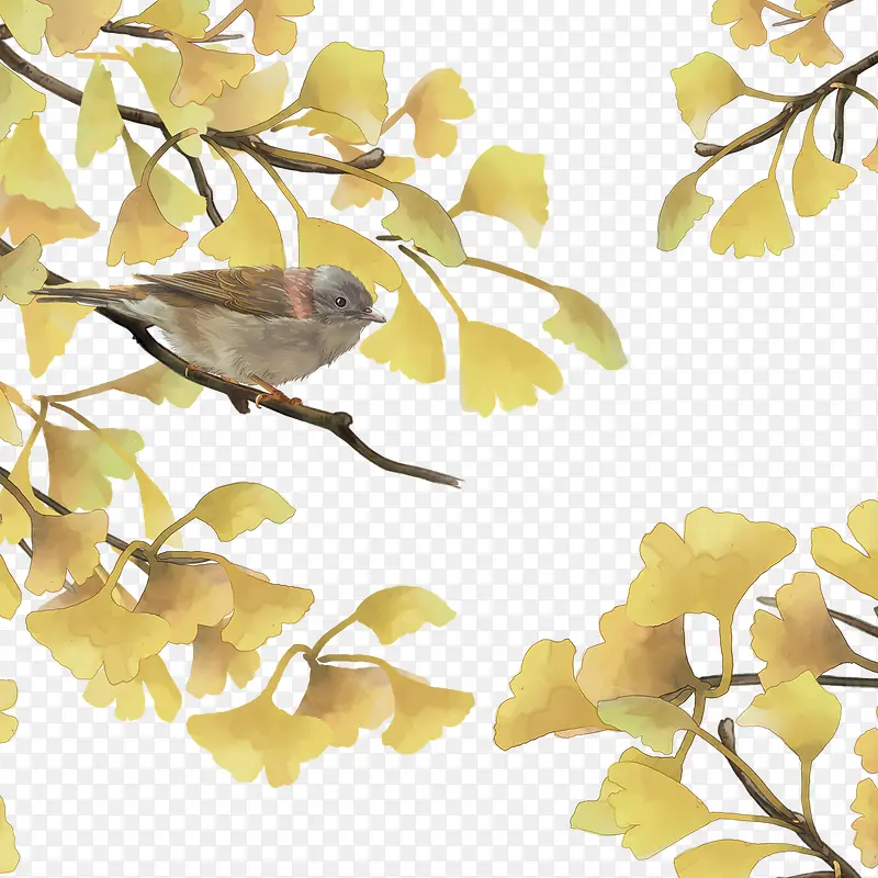 秋天黄色漂亮小鸟