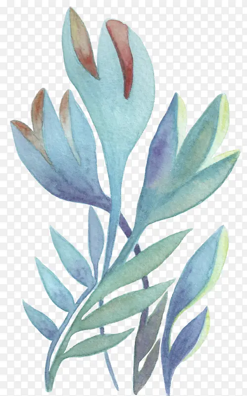 水彩风格蓝色植物插画元素PNG图片素材下载_图片编号qmjdzdje-免抠素材网