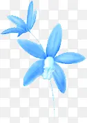 蓝色高清小花装饰