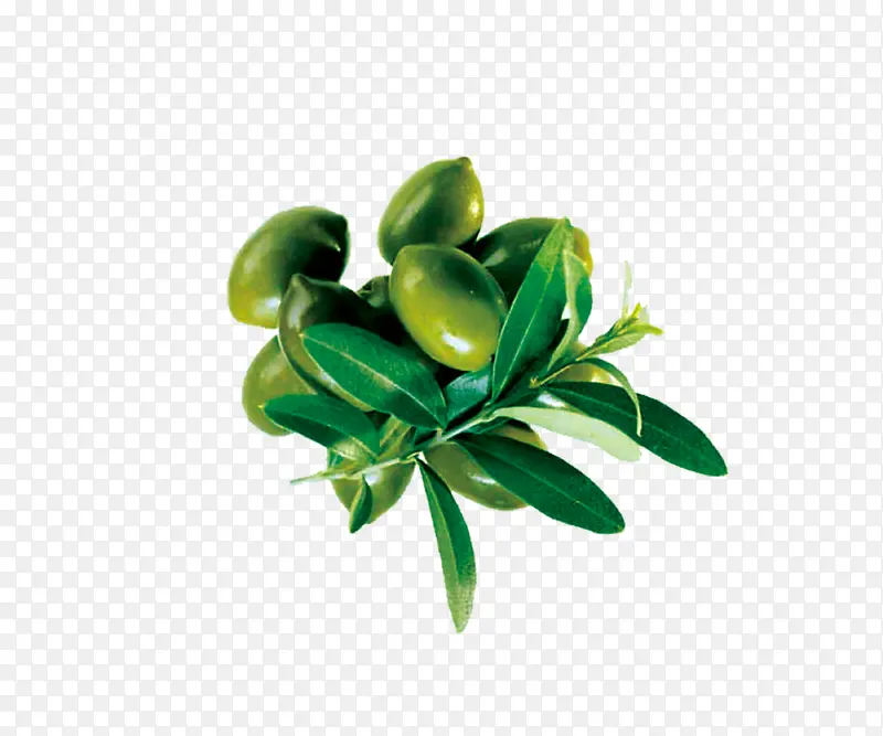 橄榄