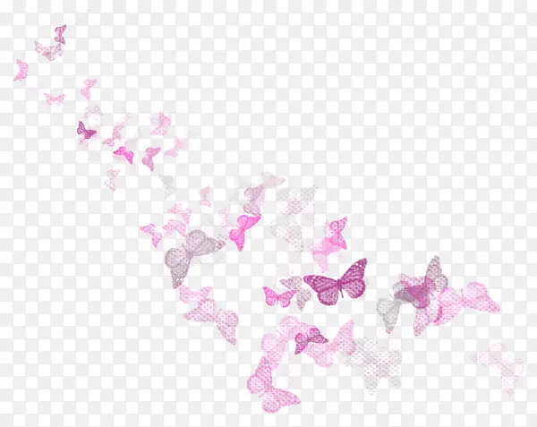 一堆蝴蝶