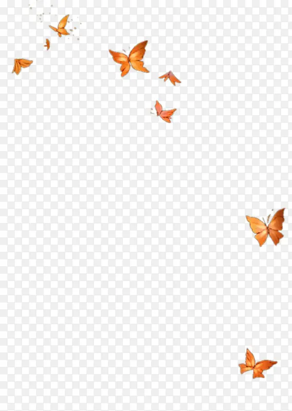 橙色蝴蝶漂浮