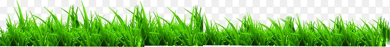 绿草草地装饰元素