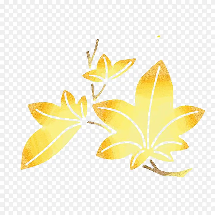 金色枫叶