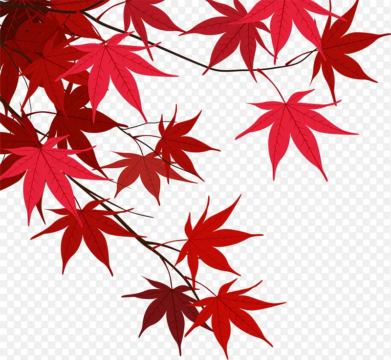 红色枫叶宣传海报素材