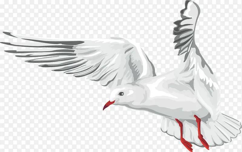 白色清新飞鸽装饰图案