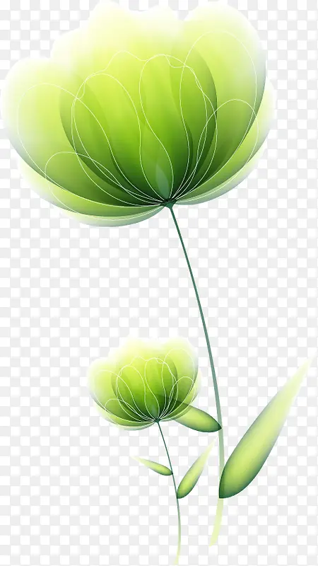 创意合成绿色的花朵