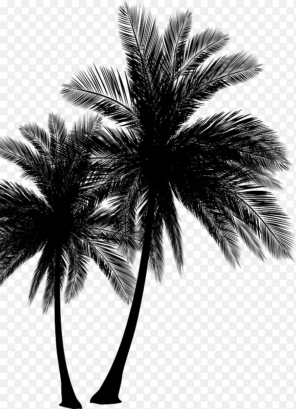 黑色椰子树树木椰子树装饰