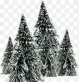 冬季树木装饰海报