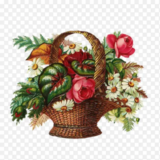 花蓝