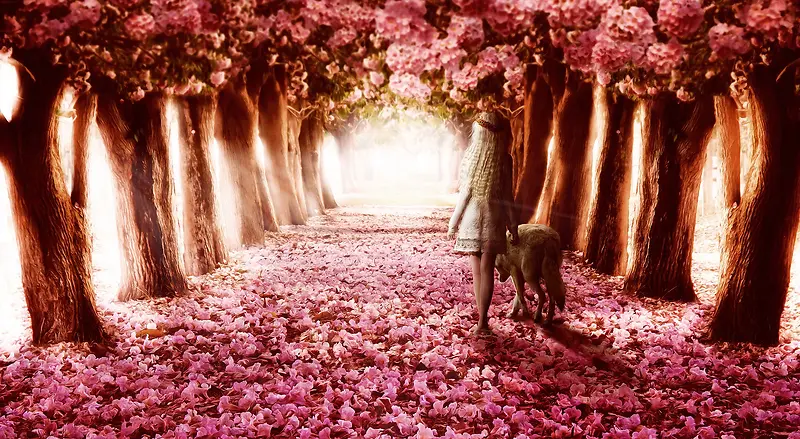 粉色花树林下的女孩海报背景