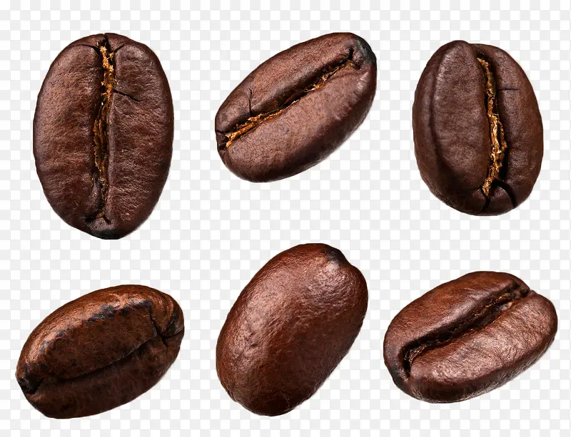 背景咖啡豆透明